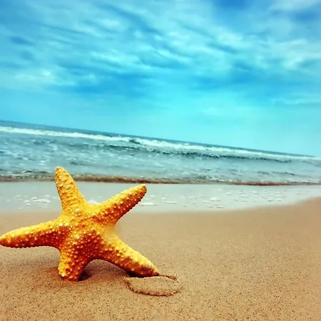 Sea Pearl Arcadia *